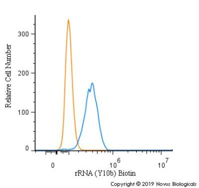 rRNA Antibody in Flow Cytometry (Flow)