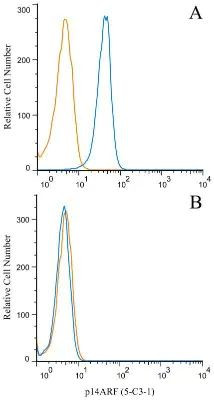 p19ARF Antibody in Flow Cytometry (Flow)