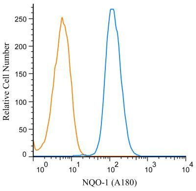 NQO1 Antibody in Flow Cytometry (Flow)