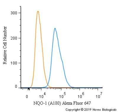 NQO1 Antibody in Flow Cytometry (Flow)