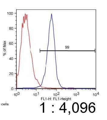 ABCA1 Antibody in Flow Cytometry (Flow)