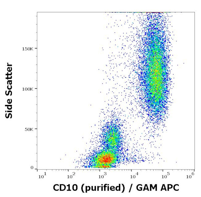 CD10 Antibody in Flow Cytometry (Flow)