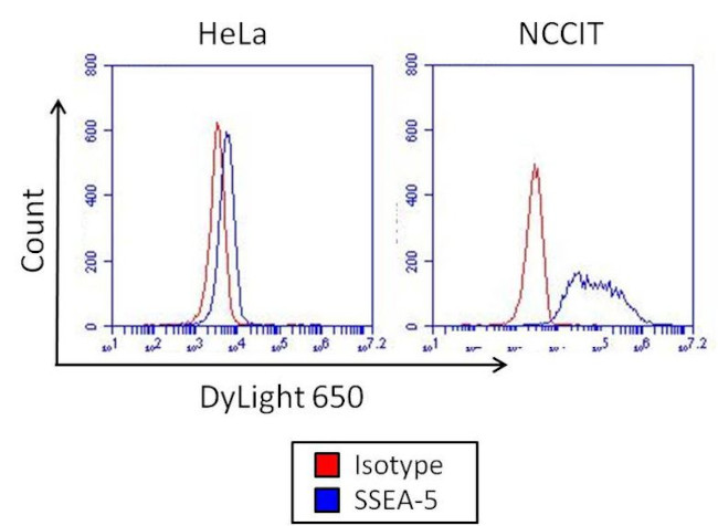 Mouse IgG1 Isotype Control in Flow Cytometry (Flow)