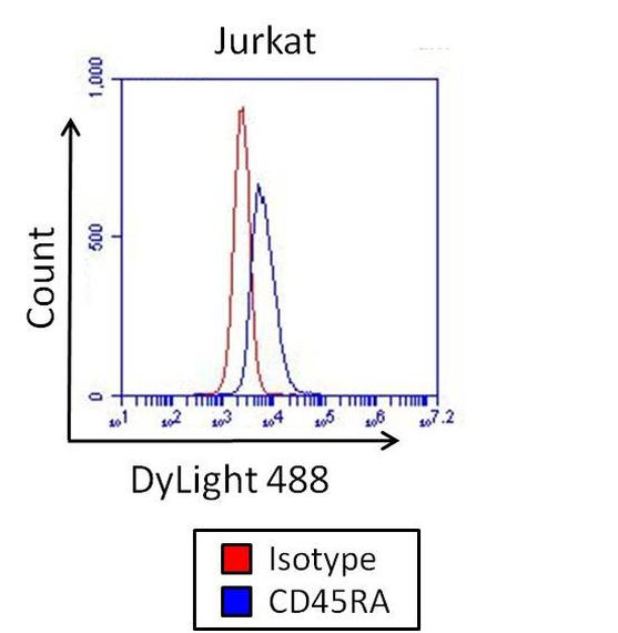 Mouse IgG2b Isotype Control in Flow Cytometry (Flow)