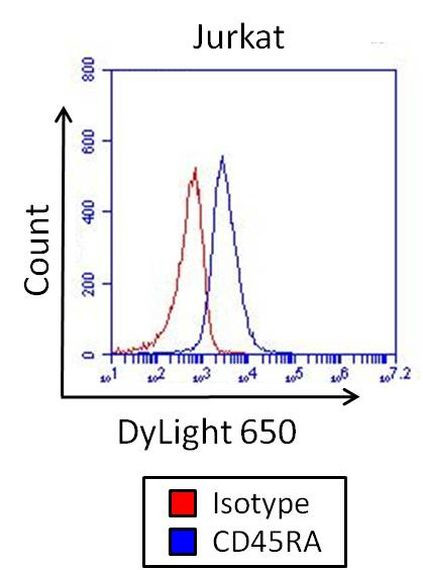 Mouse IgG2b Isotype Control in Flow Cytometry (Flow)