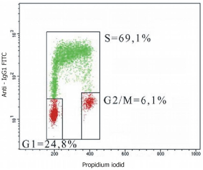 BrdU Antibody in Flow Cytometry (Flow)