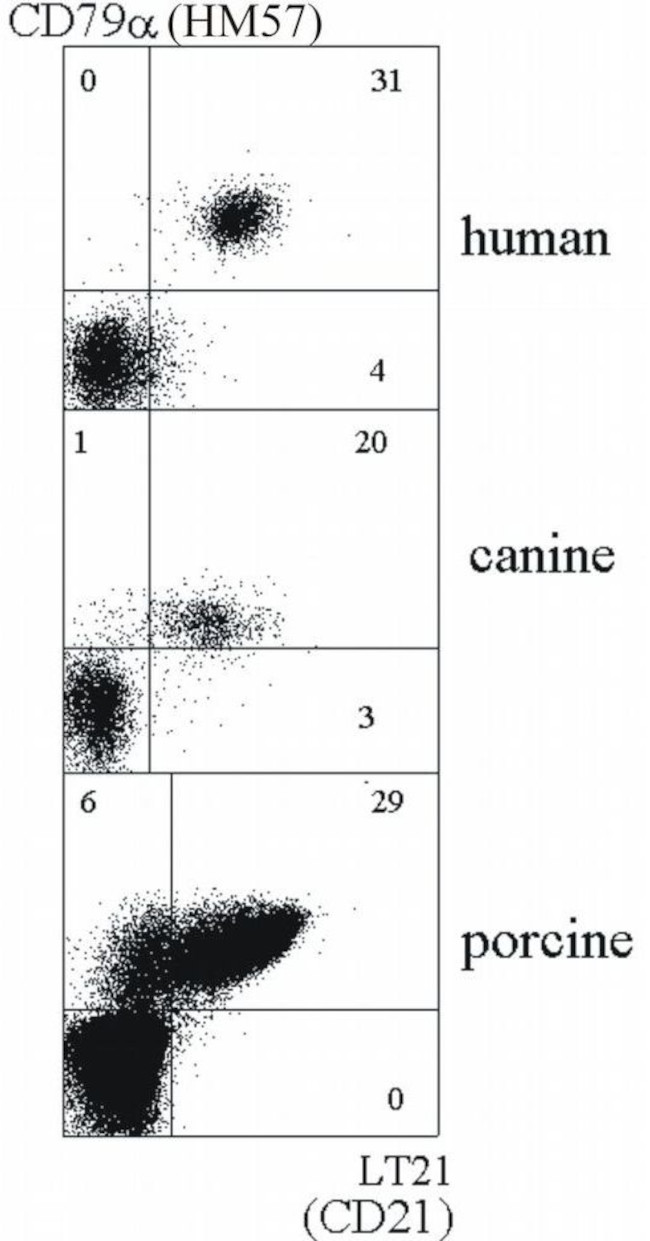 CD21 Antibody in Flow Cytometry (Flow)