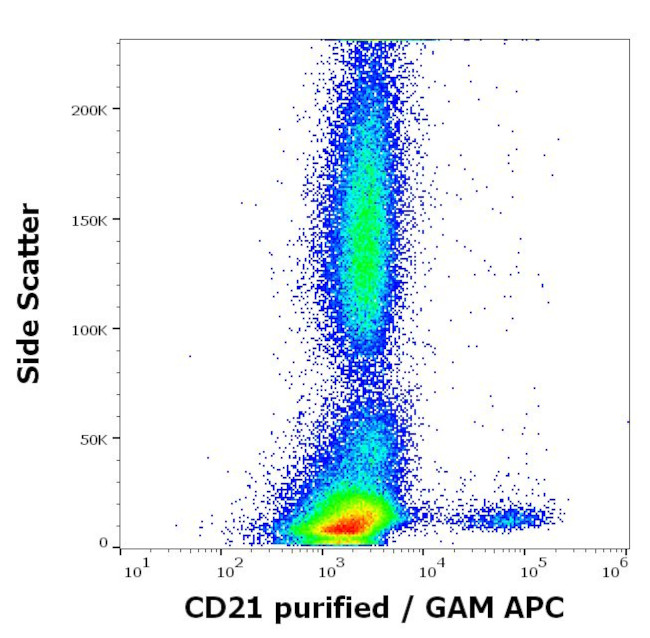 CD21 Antibody in Flow Cytometry (Flow)