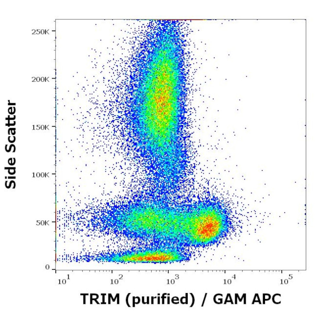 TRIM Antibody in Flow Cytometry (Flow)