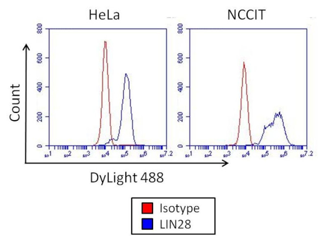 Mouse IgG2a Isotype Control in Flow Cytometry (Flow)