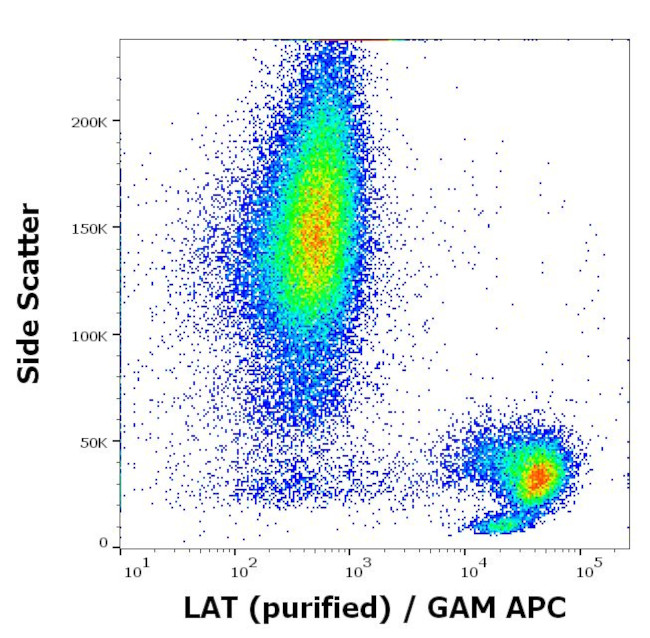 LAT Antibody in Flow Cytometry (Flow)