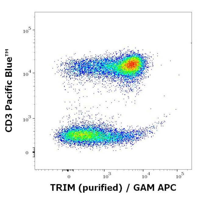 LAT Antibody in Flow Cytometry (Flow)