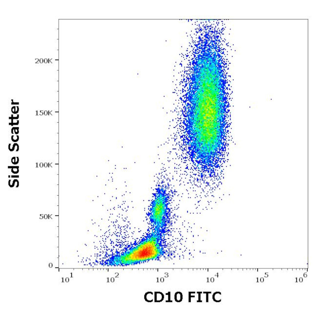 CD10 Antibody in Flow Cytometry (Flow)