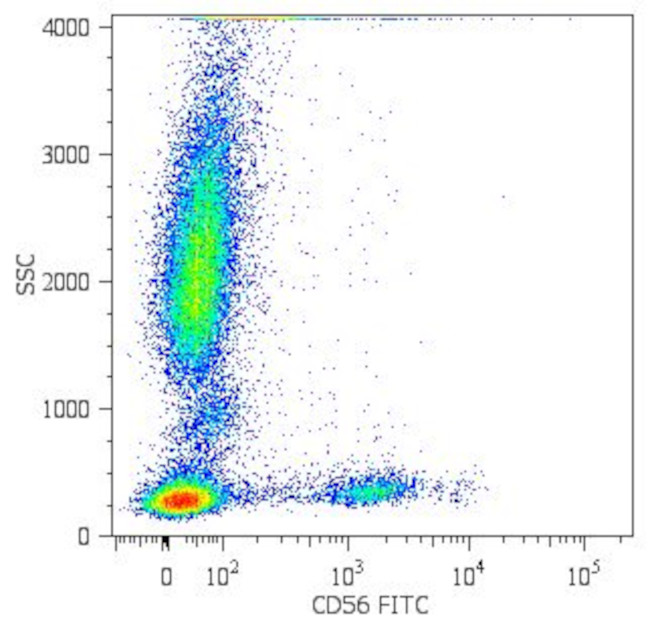 CD56 Antibody in Flow Cytometry (Flow)