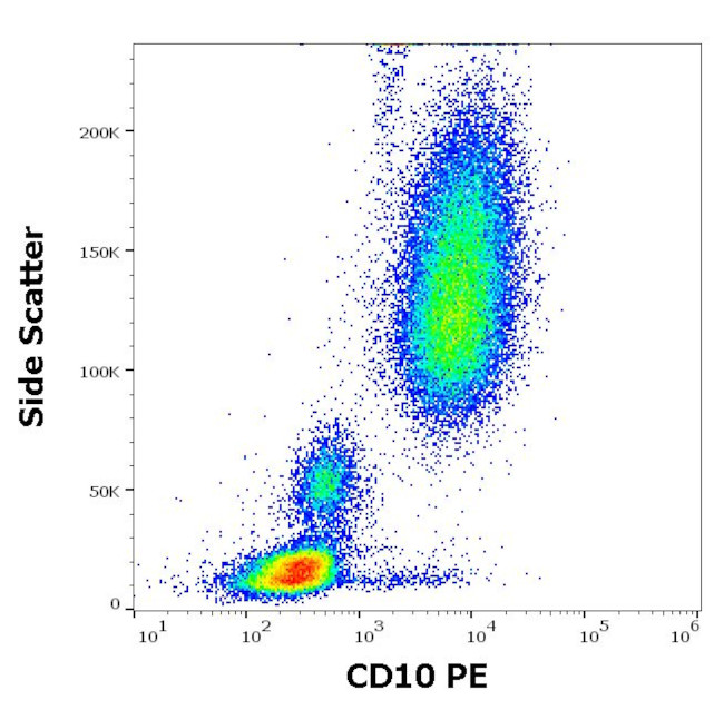 CD10 Antibody in Flow Cytometry (Flow)