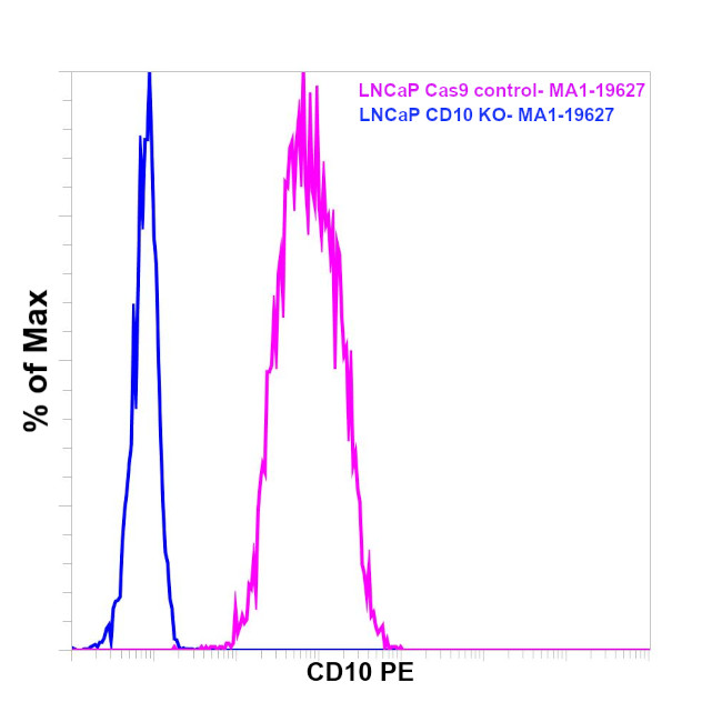 CD10 Antibody in Flow Cytometry (Flow)