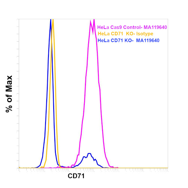 Transferrin Receptor Antibody in Flow Cytometry (Flow)