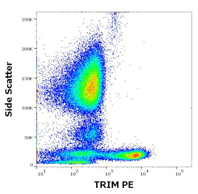 TRIM Antibody in Flow Cytometry (Flow)