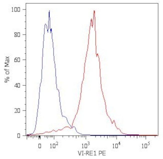 Vimentin Antibody in Flow Cytometry (Flow)