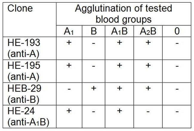 Blood Group A Antigen Antibody in Agglutination (AGG)