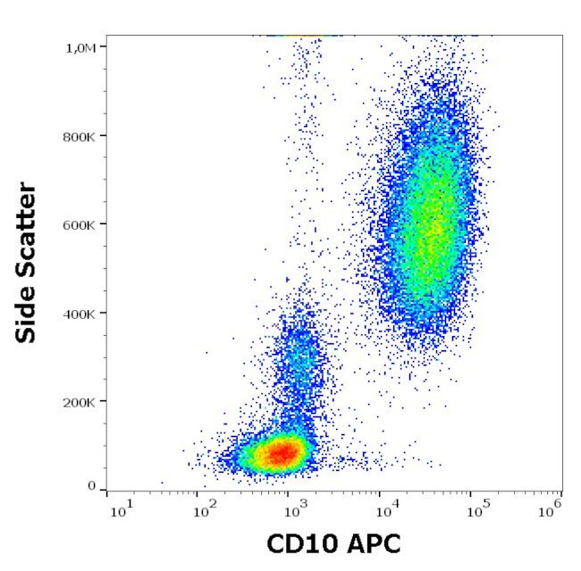 CD10 Antibody in Flow Cytometry (Flow)