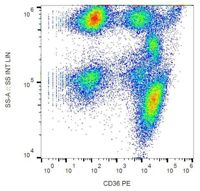 CD36 Antibody in Flow Cytometry (Flow)