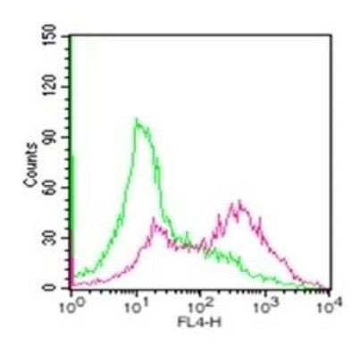 CD254 (RANK Ligand) Antibody in Flow Cytometry (Flow)