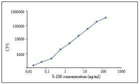 S100 Antibody in ELISA (ELISA)