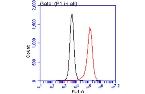 TSG101 Antibody in Flow Cytometry (Flow)