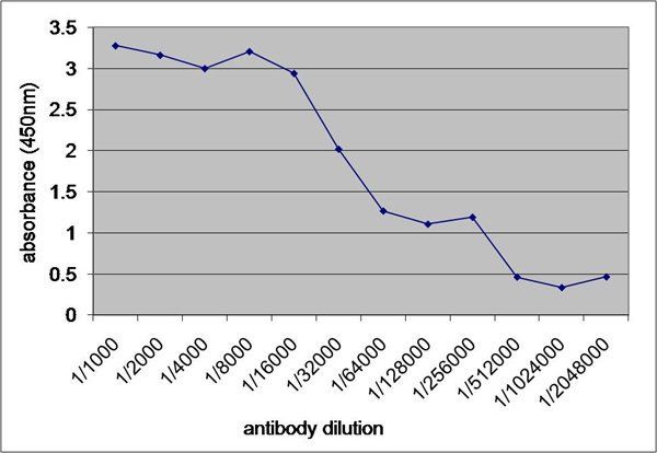 V5 Tag Antibody in ELISA (ELISA)