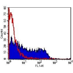 M13 Phage coat protein Antibody in Flow Cytometry (Flow)