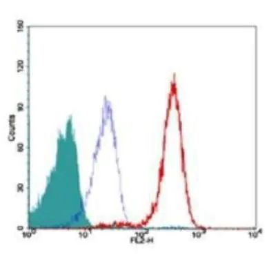 TRF2 Antibody in Flow Cytometry (Flow)