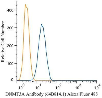 DNMT3A Antibody in Flow Cytometry (Flow)