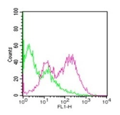 CD254 (RANK Ligand) Antibody in Flow Cytometry (Flow)