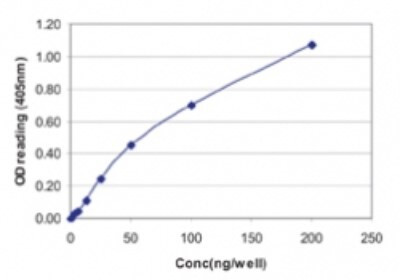 Influenza A NP Antibody in ELISA (ELISA)