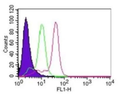 Caspase 8 Antibody in Flow Cytometry (Flow)