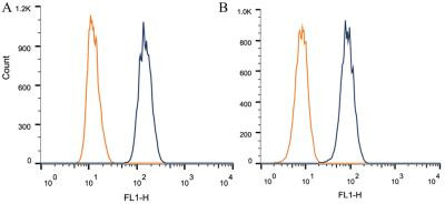 BAP1 Antibody in Flow Cytometry (Flow)