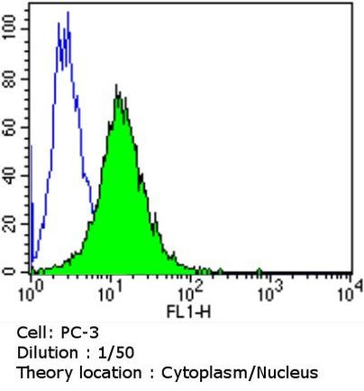 AHR Antibody in Flow Cytometry (Flow)