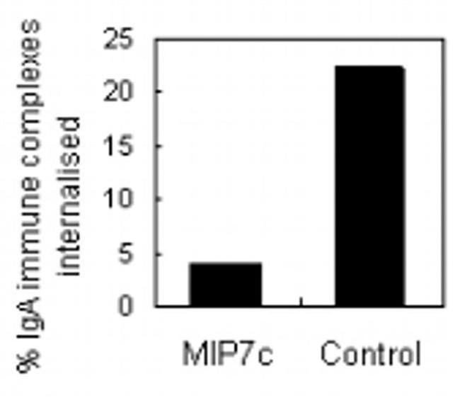 FCAR (soluble) Antibody in Radioimmune assays (RIA)