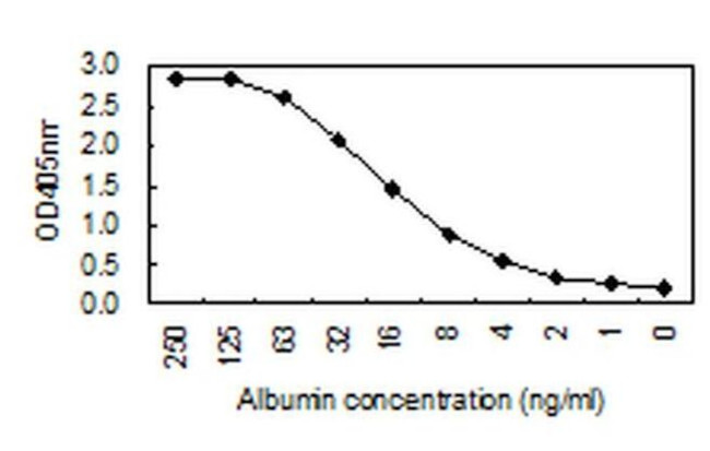 Human Serum Albumin Antibody in ELISA (ELISA)