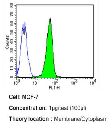 ErbB4 Antibody in Flow Cytometry (Flow)