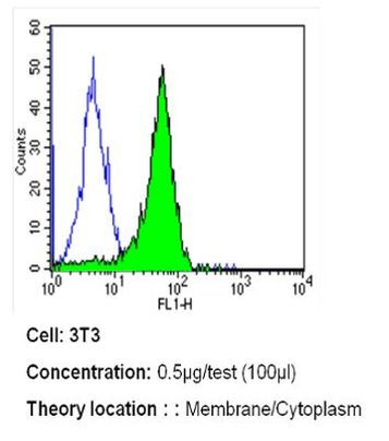 ErbB4 Antibody in Flow Cytometry (Flow)