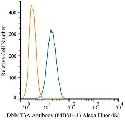 DNMT3A Antibody in Flow Cytometry (Flow)