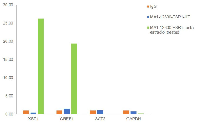 Estrogen Receptor alpha Antibody in ChIP Assay (ChIP)