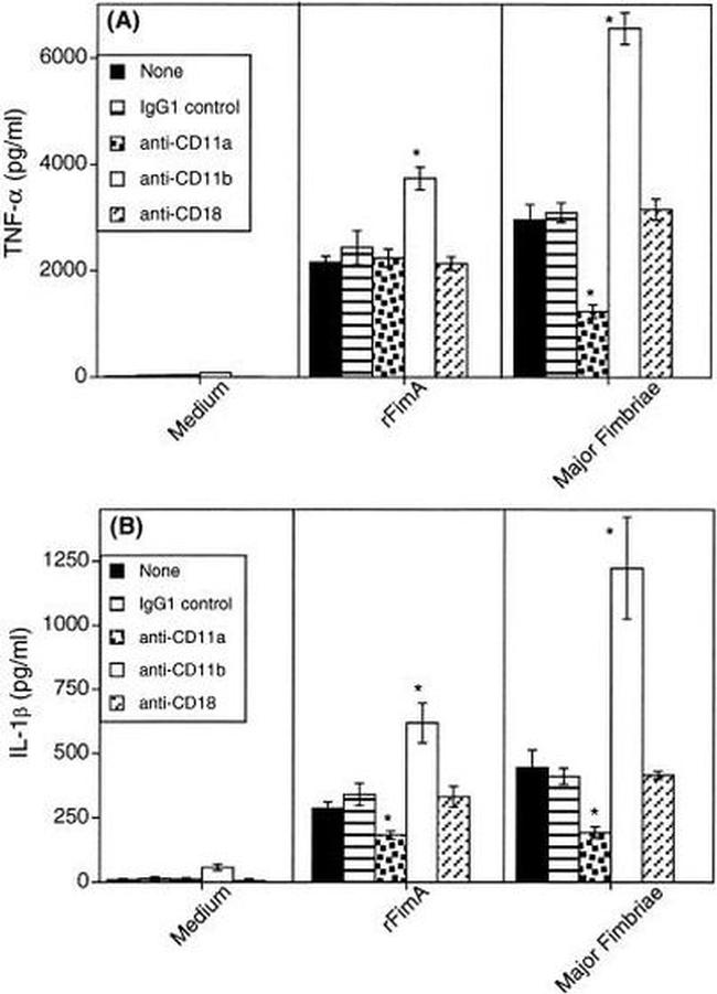 CD11a Antibody in Radioimmune assays (RIA)