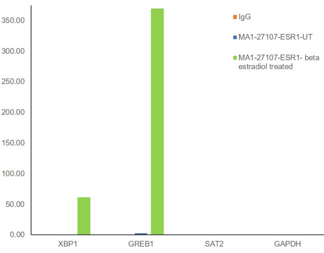 Estrogen Receptor alpha Antibody in ChIP Assay (ChIP)