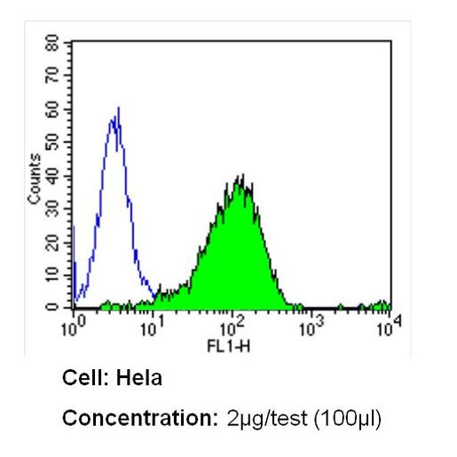 CD26 Antibody in Flow Cytometry (Flow)