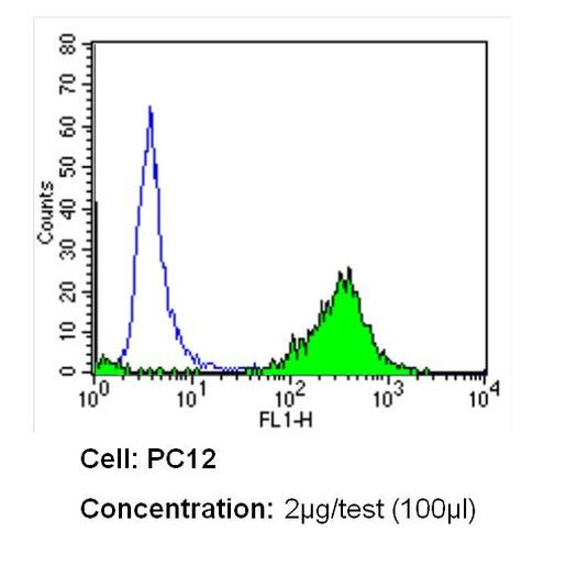 CD26 Antibody in Flow Cytometry (Flow)