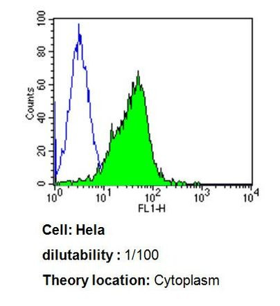 Cdc37 Antibody in Flow Cytometry (Flow)