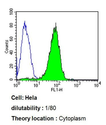 ARF1/ARF3/ARF5/ARF6 Antibody in Flow Cytometry (Flow)